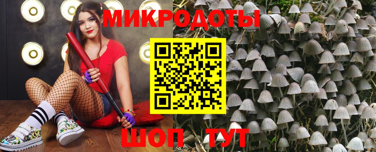 Галлюциногенные грибы GOLDEN TEACHER Владивосток