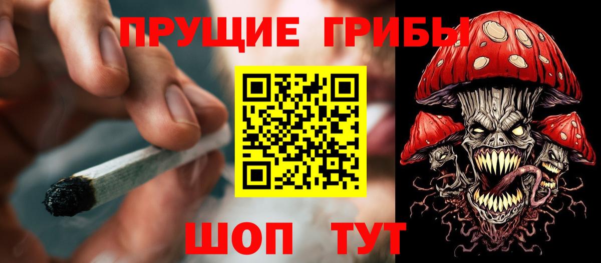 Псилоцибиновые грибы мицелий  Псилоцибиновые грибы MAGIC MUSHROOMS  Вход с VPN  Владивосток 